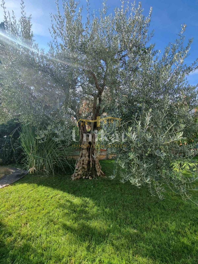 Doppia casa in stile istriano